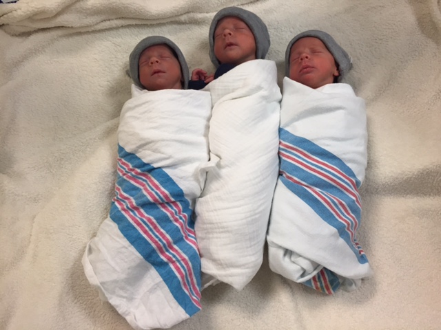 homas III, Finnegan and Oliver Hewitt are incredibly rare identical triplets. (Courtesy GBMC)