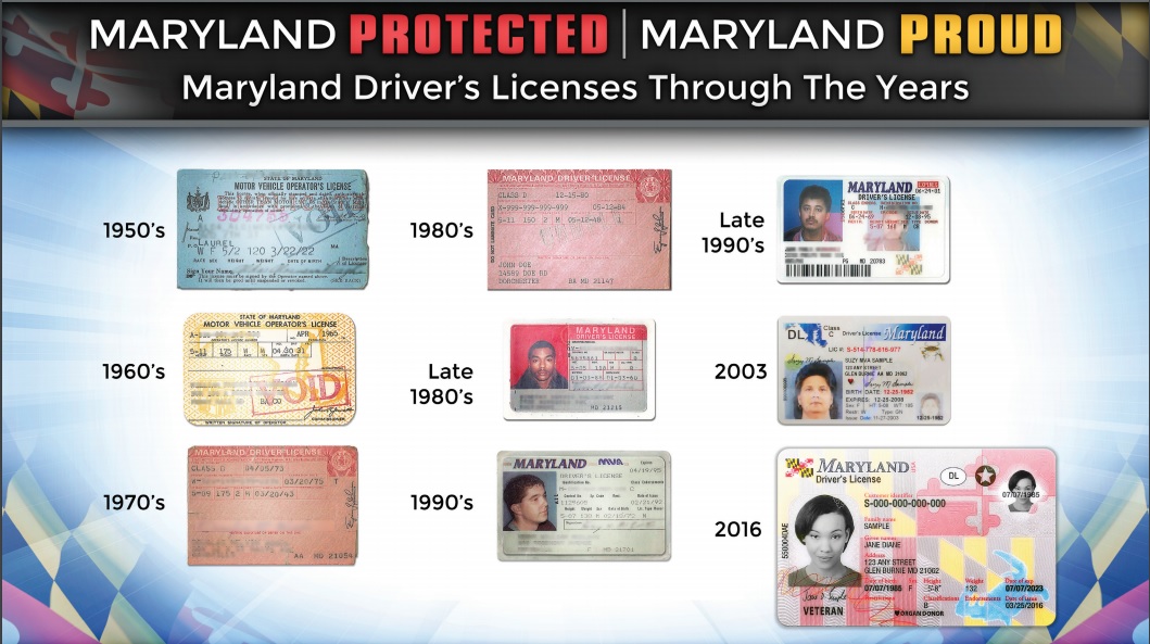 Maryland licenses through the years. (Photo credit: Maryland Motor Vehicle Administration)