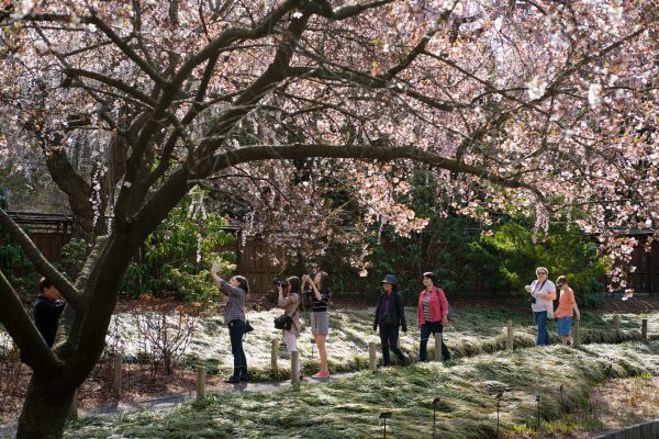 America S Most Beautiful Botanical Gardens Cbs Baltimore