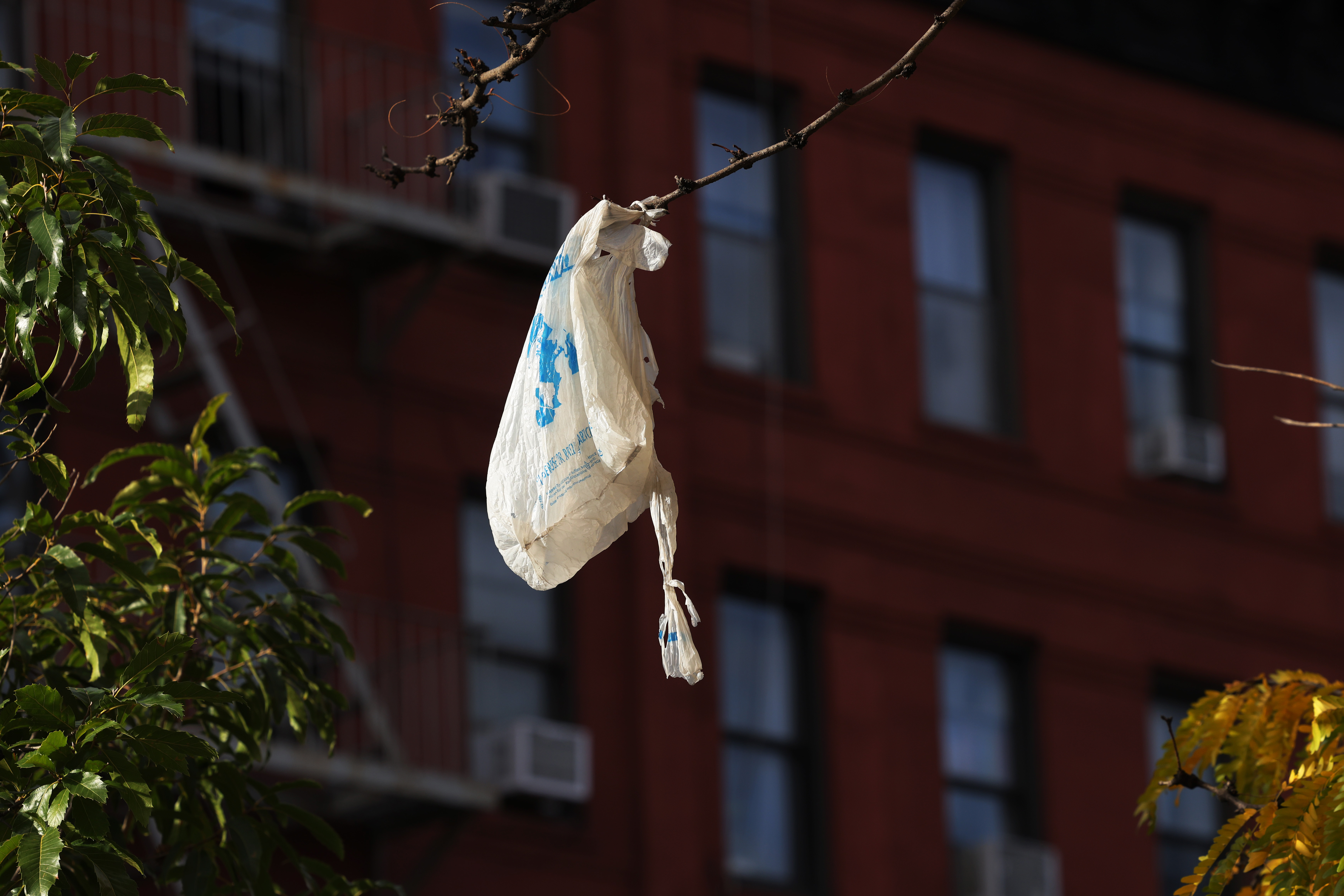 Baltimore Plastic Bag Ban Now In Effect: What You Should Know