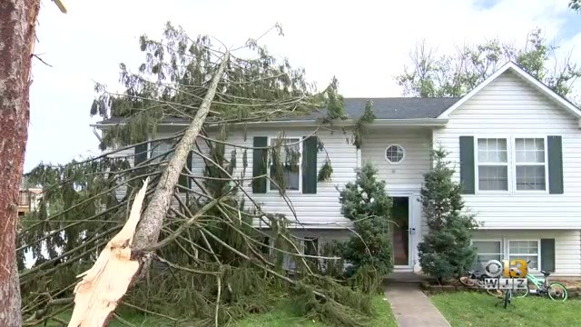 Baltimore County Family Without A Home After Tree Falls Through Roof During Monday’s Storms